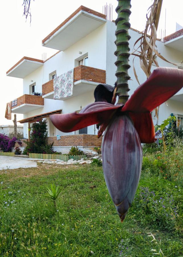 Penelope'S Rooms Dhermi Exterior photo